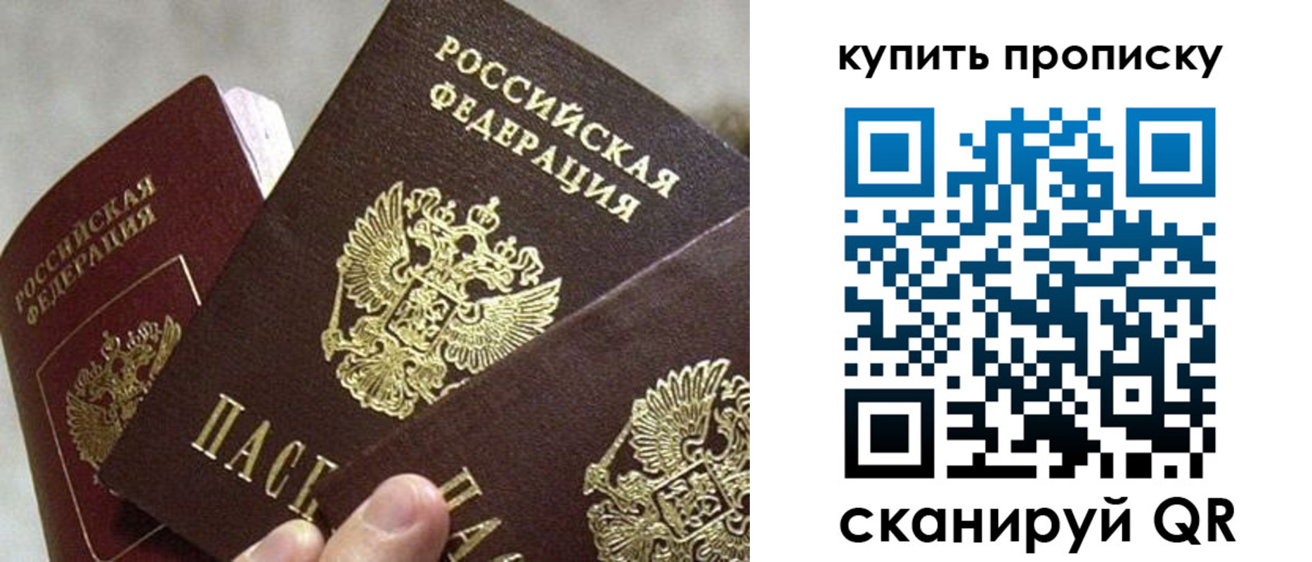 прописка для школы в Домодедово